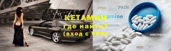 СК Ельня