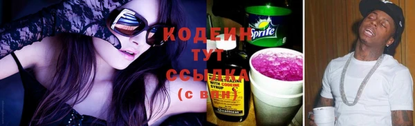 СК Ельня