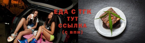СК Ельня