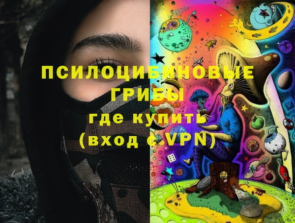 СК Ельня