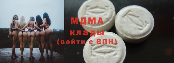 СК Ельня