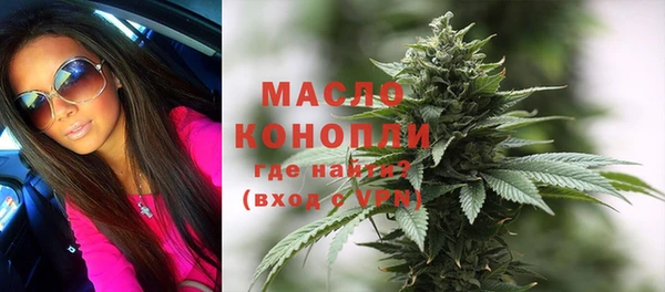СК Ельня
