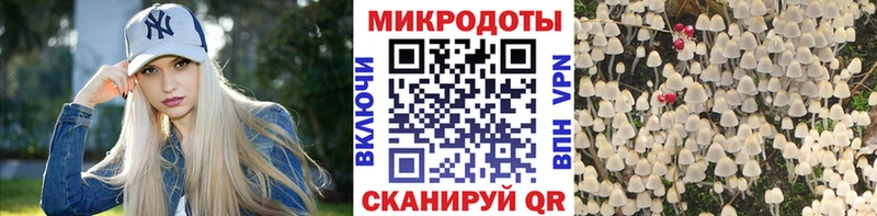 Купить где  Кинешма  Псилоцибиновые грибы Magic Shrooms 